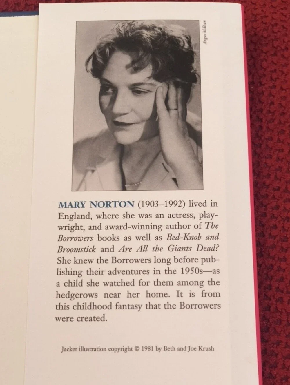 The Borrowers by Mary Norton Hardcover EUC
